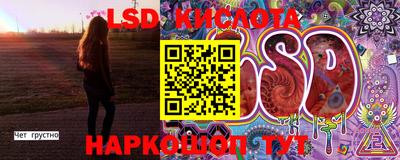 спиды Новодвинск