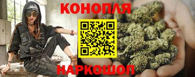 спиды Новодвинск